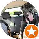 Jim Dufield profile picture